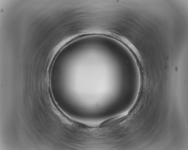 X0000086071380200703231256