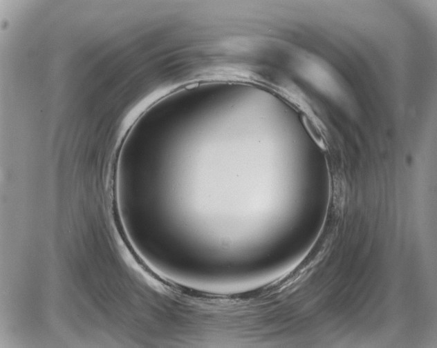 X0000086071387200703231256