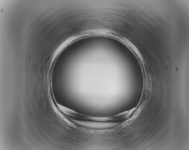 X0000086071389200703231256