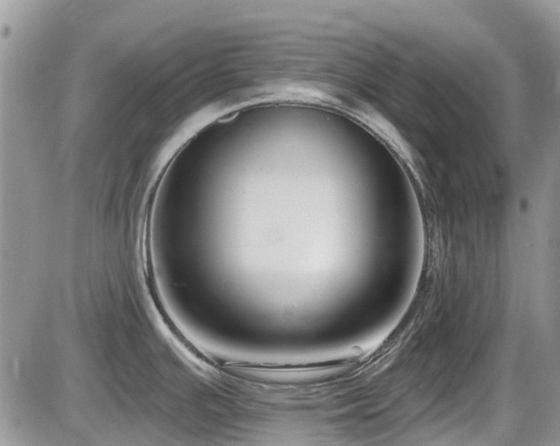 X0000086071391200703231256