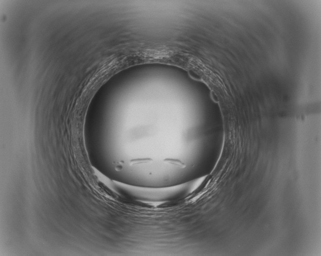 X0000086071393200703231255