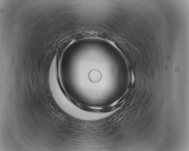 X0000086071394200703231255