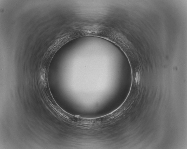 X0000086071396200703231255