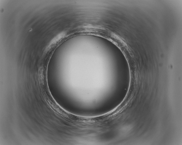 X0000086071403200703231255