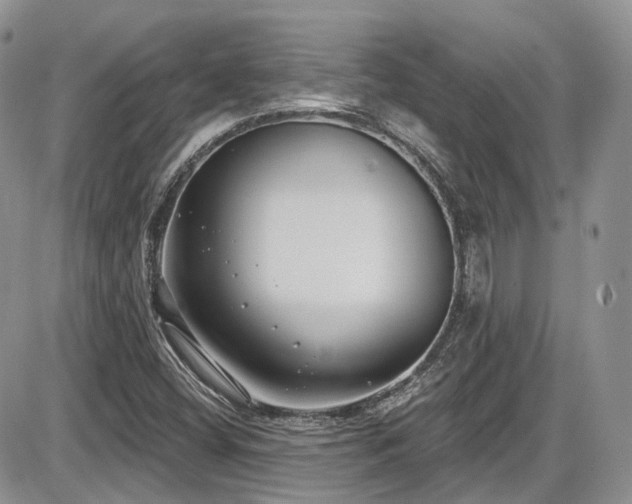 X0000086071404200703231255