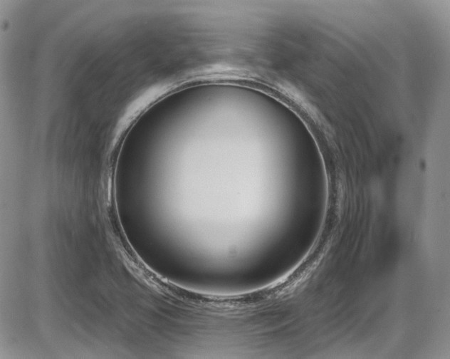 X0000086071413200703231255