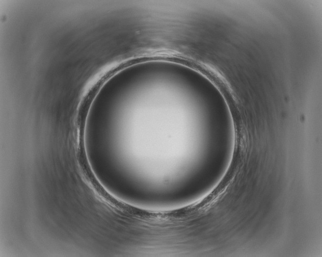 X0000086071414200703231256
