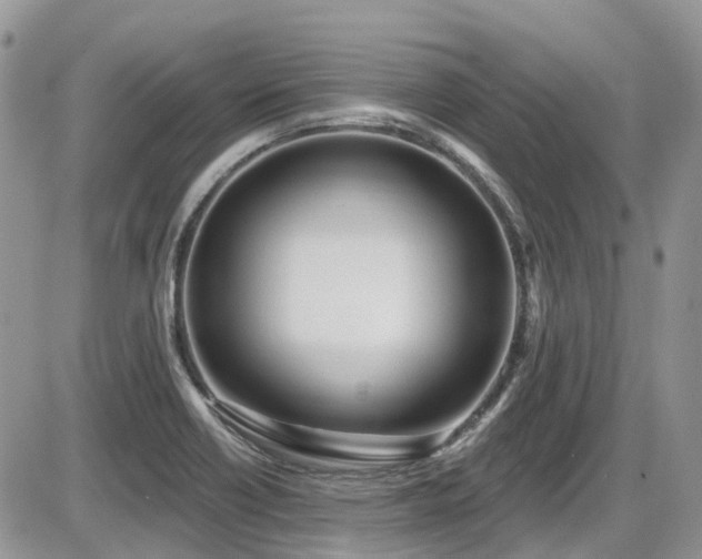X0000086071418200703231256