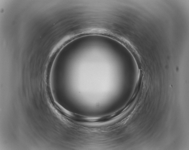 X0000086071422200703231256
