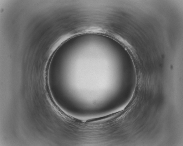 X0000086071423200703231256