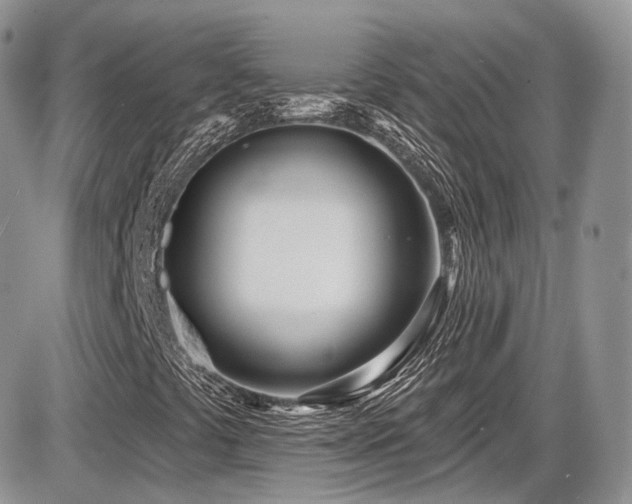 X0000086071441200703231255