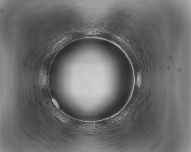 X0000086071444200703231255
