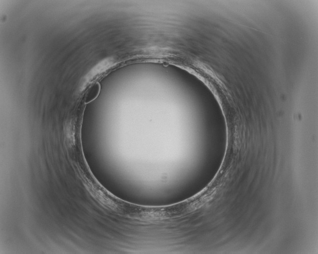X0000086071451200703231255