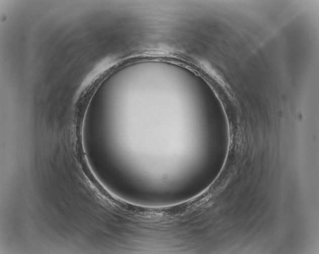 X0000086071456200703231255