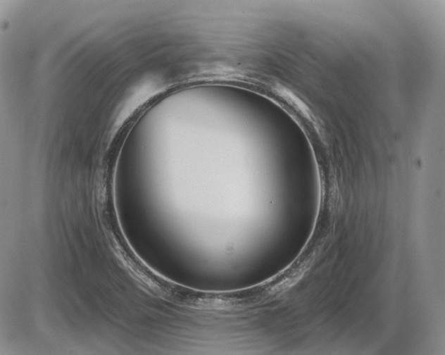 X0000086071458200703231255