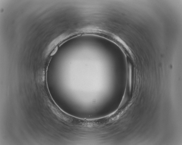 X0000086071461200703231255