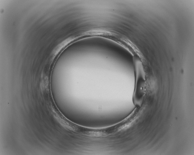 X0000086071465200703231255