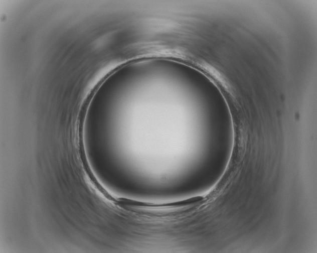 X0000086071468200703231255