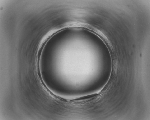 X0000086071472200703231255