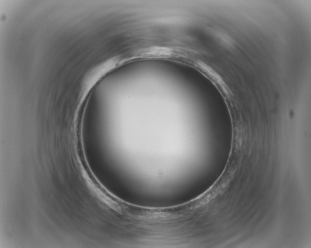 X0000086071475200703231255