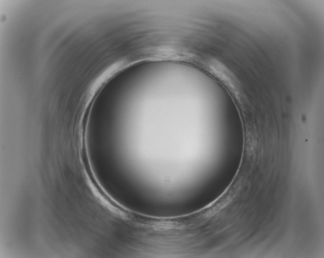 X0000086071479200703231255