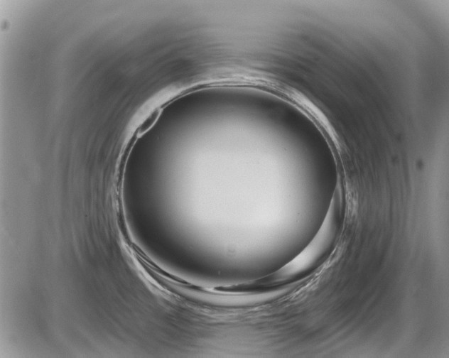 X0000086071485200703231254