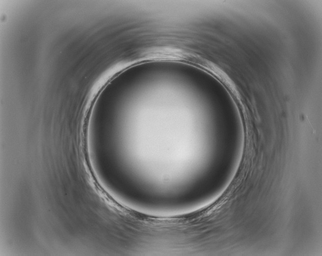 X0000086071488200703231254