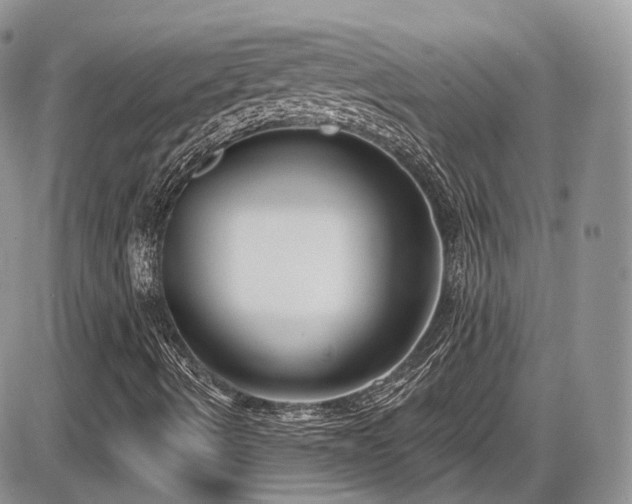 X0000086071490200703231254