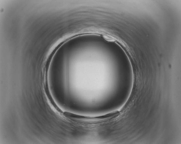 X0000086071515200703231254
