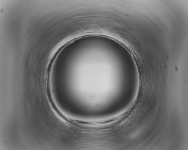 X0000086071519200703231254