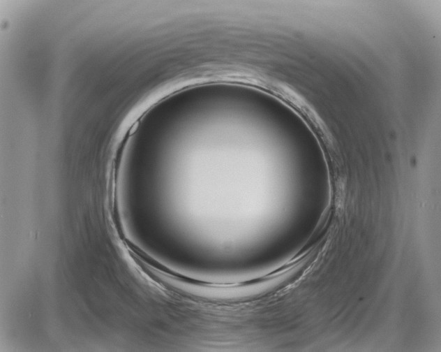 X0000086071520200703231254