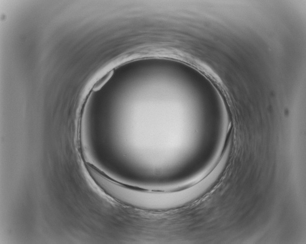 X0000086071528200703231254