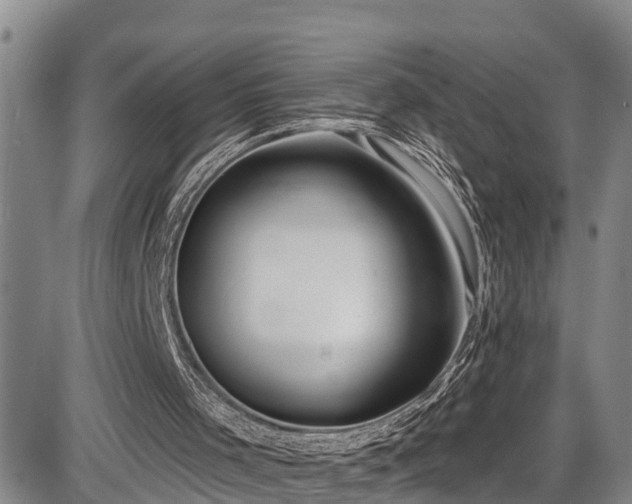 X0000086070001200703301118