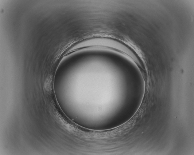 X0000086070009200703301118