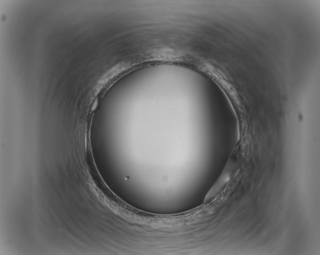 X0000086070011200703301118