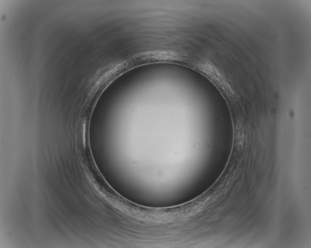 X0000086070014200703301118