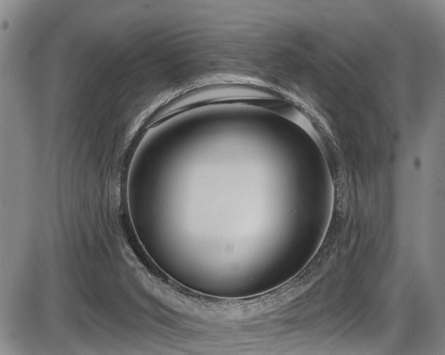 X0000086070015200703301118