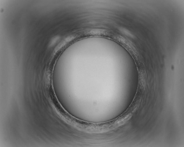 X0000086070016200703301118