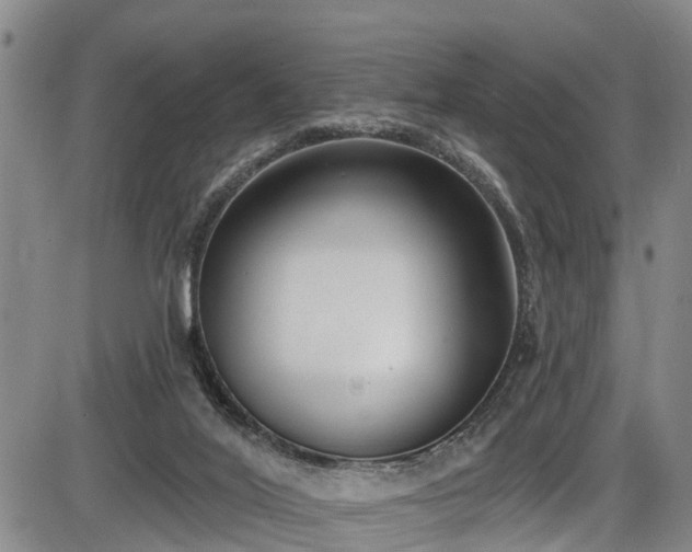 X0000086070020200703301118