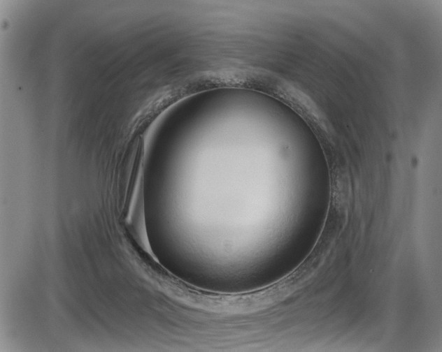X0000086070023200703301118