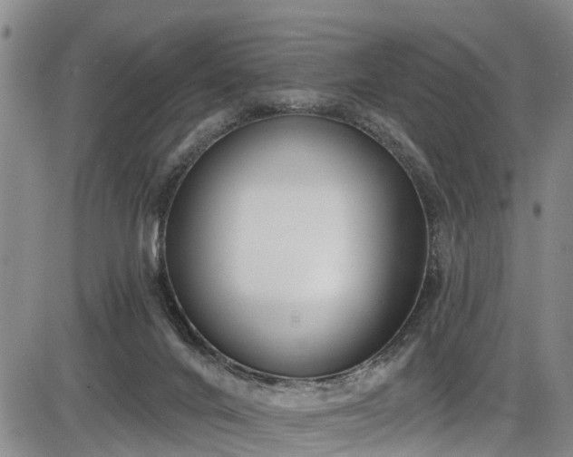 X0000086070024200703301118