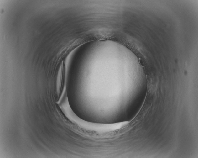 X0000086070027200703301118