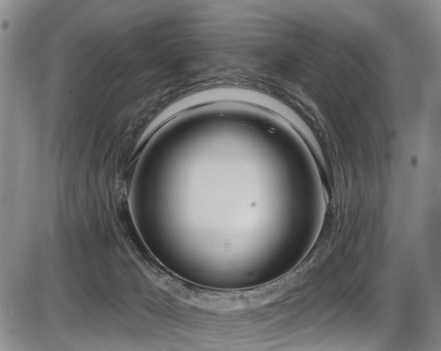 X0000086070029200703301118