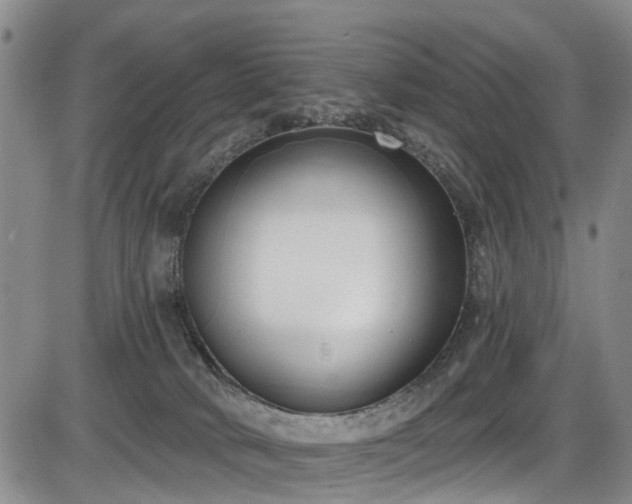 X0000086070034200703301118