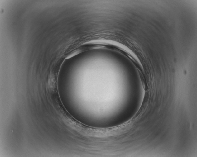 X0000086070037200703301117