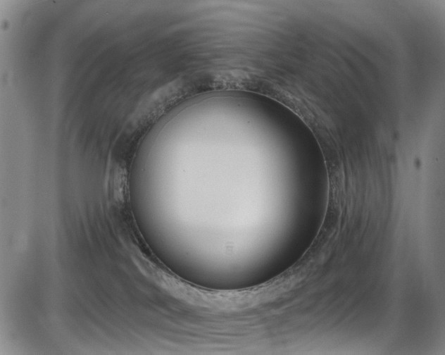 X0000086070038200703301117