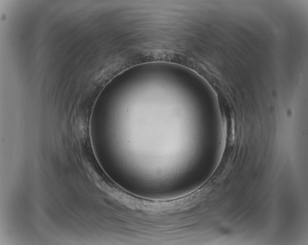X0000086070039200703301117