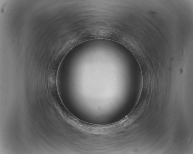 X0000086070040200703301117