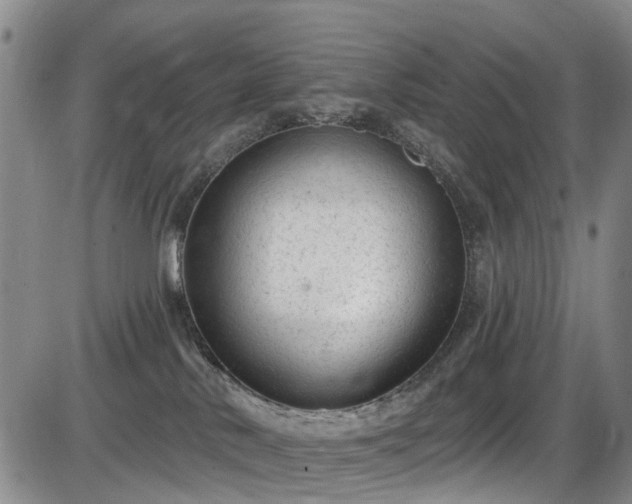 X0000086070042200703301117