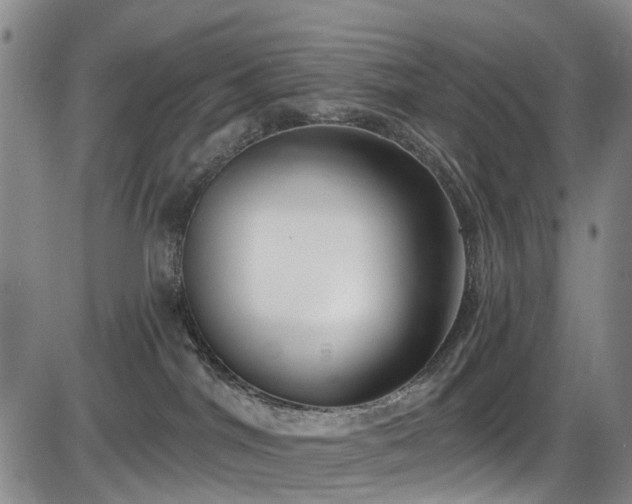 X0000086070044200703301117